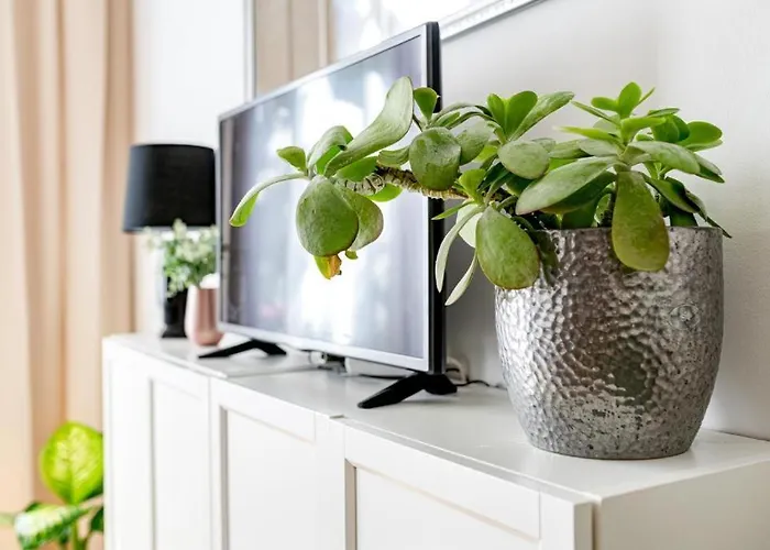 شقة Downtown Rabbit Kazinczy13 *